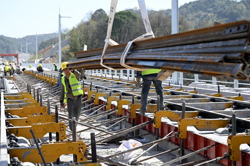 池黃鐵路無(wú)砟軌道施工全速推進(jìn)，為高質(zhì)量開(kāi)通奠定堅(jiān)實(shí)基礎(chǔ)